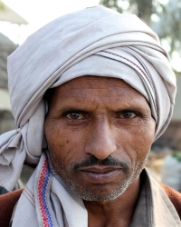 Апапанти в Индии